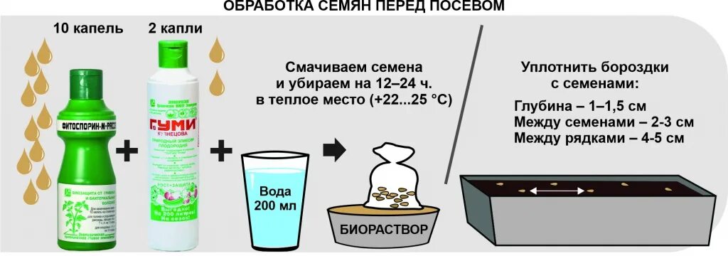 Обработка земли марганцовкой перед посадкой. Обработка семян перед посевом. Обработка почвы перед посевом семян. Чем обрабатывают семена перед посевом. Обработать семена перед посадкой.