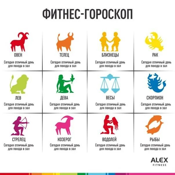 Какие знаки самые сильные. Знаки зодиака. гороскоп по знакам зодиака. самые знаки зодиака. символы по гороскопу.