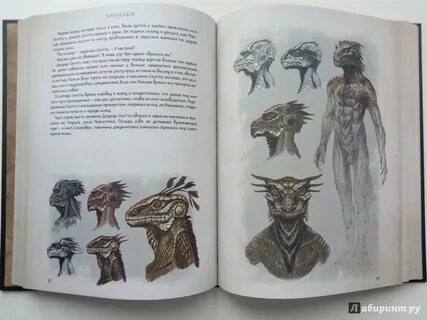 Мера зверь человек