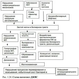 Патогенез язвенной болезни 12 перстной кишки