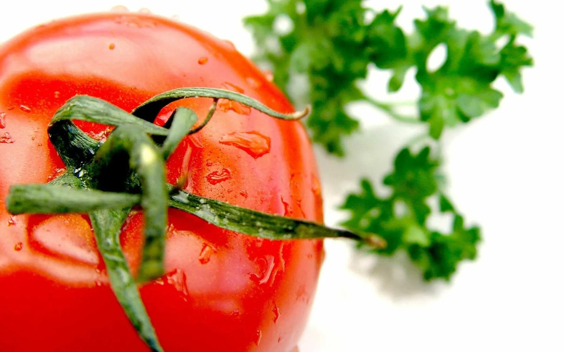 Помидоры и зелень. Сочный помидор. Помидоры обои. Помидоры макро. Tomatoes транскрипция