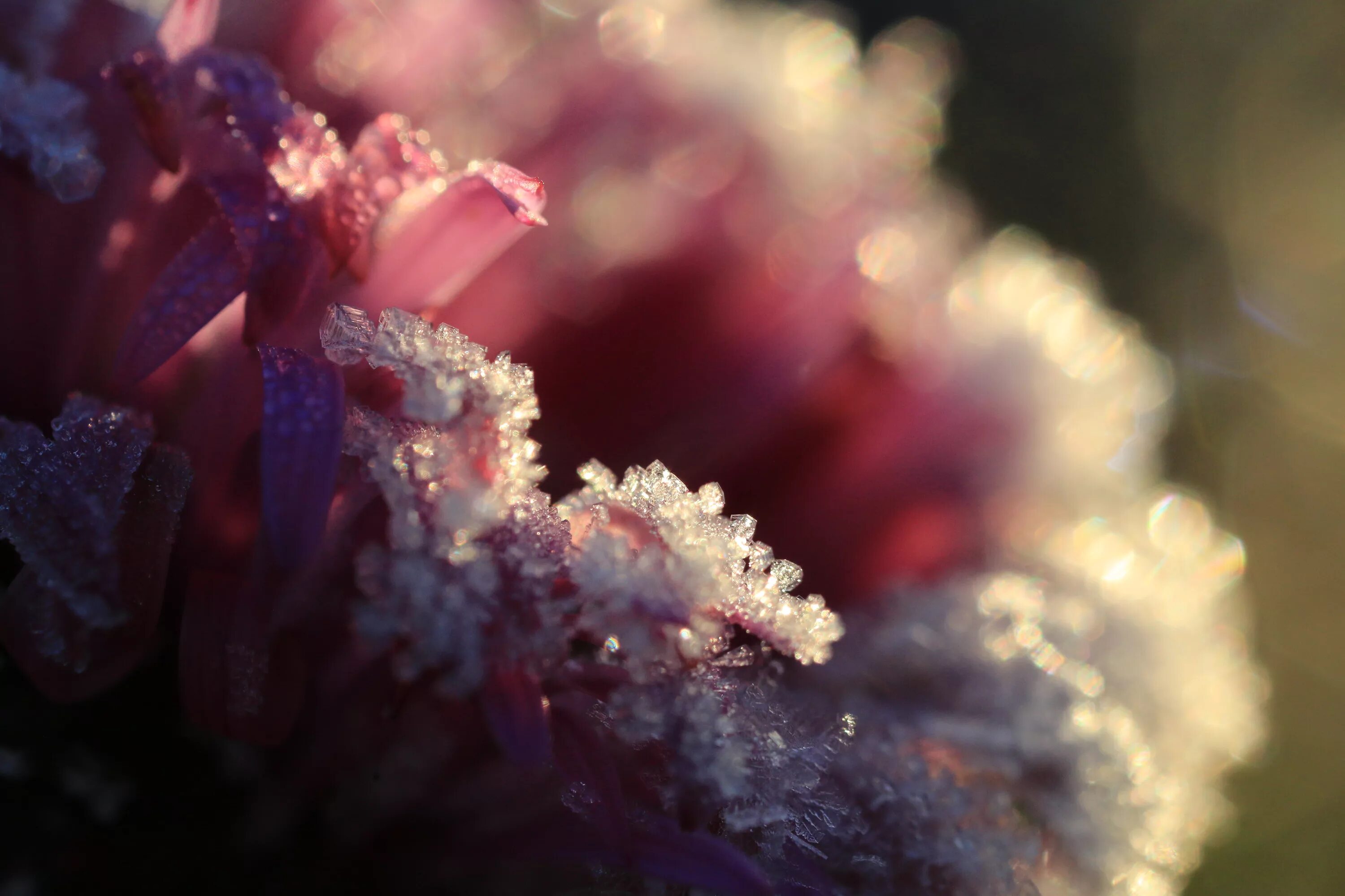X macro. X macro