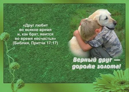 Верные на них и
