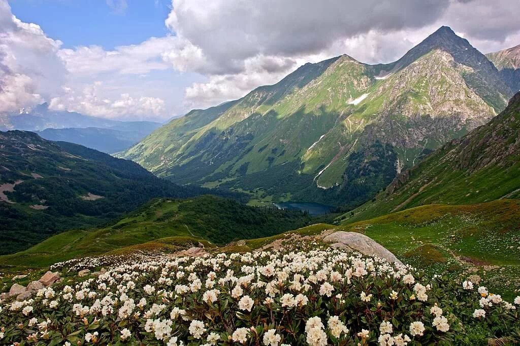 Красная поляна горы. Сочи горы красная поляна. Горы сочи горы красная поляна. Красная поляна северный кавказ. Хребет аибга красная поляна.
