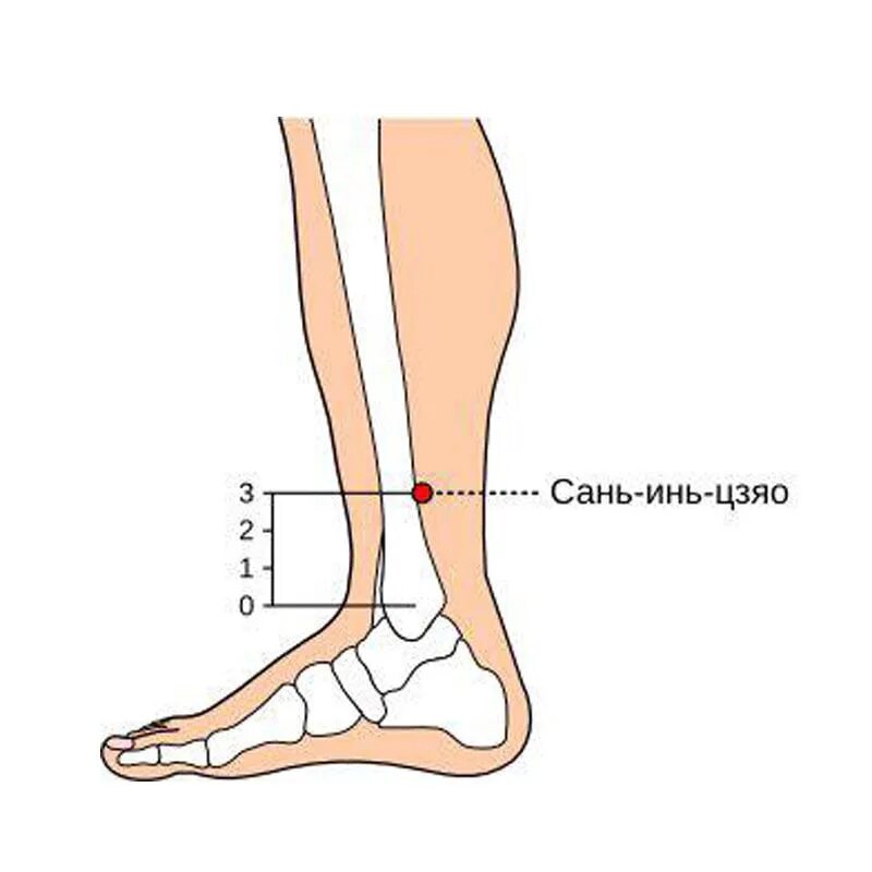 Точка Сань Инь Цзяо. Точка rp6 Сань-Инь-Цзяо точка. Точка Сань Инь Цзяо (6 Rp). Акупунктурная точка Сань-Инь-Цзяо.