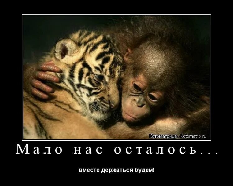 мы вместе. нас мало но мы сила. эмблема вместе мы сила. цитаты на тему вместе мы сила. нас мало но мы в тельняшках.