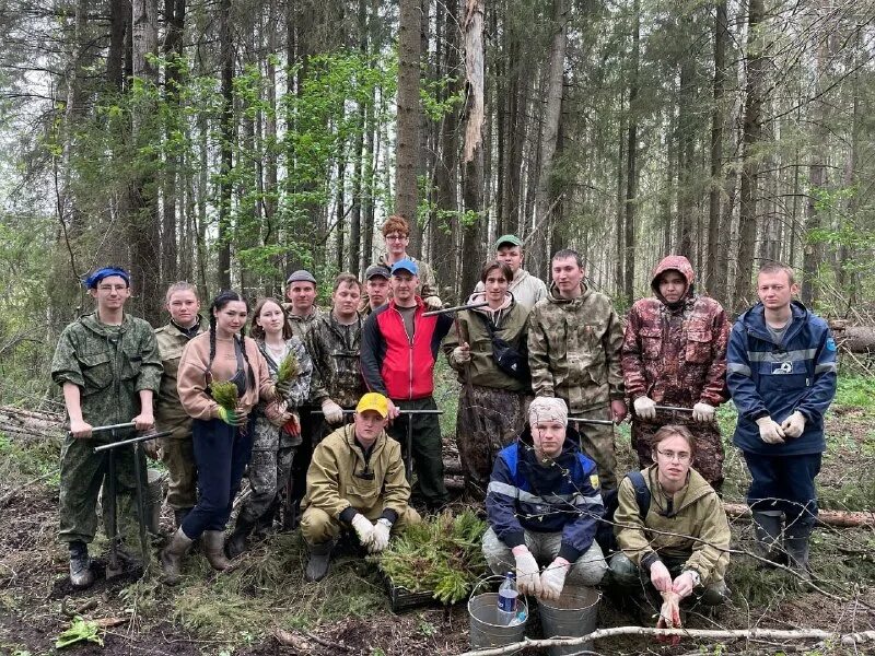 Прогулка на природе. Студенты в лесу 2. Четверо человек в лесу конец ноября. Студенты в лесу. Субботник в марьиной роще.