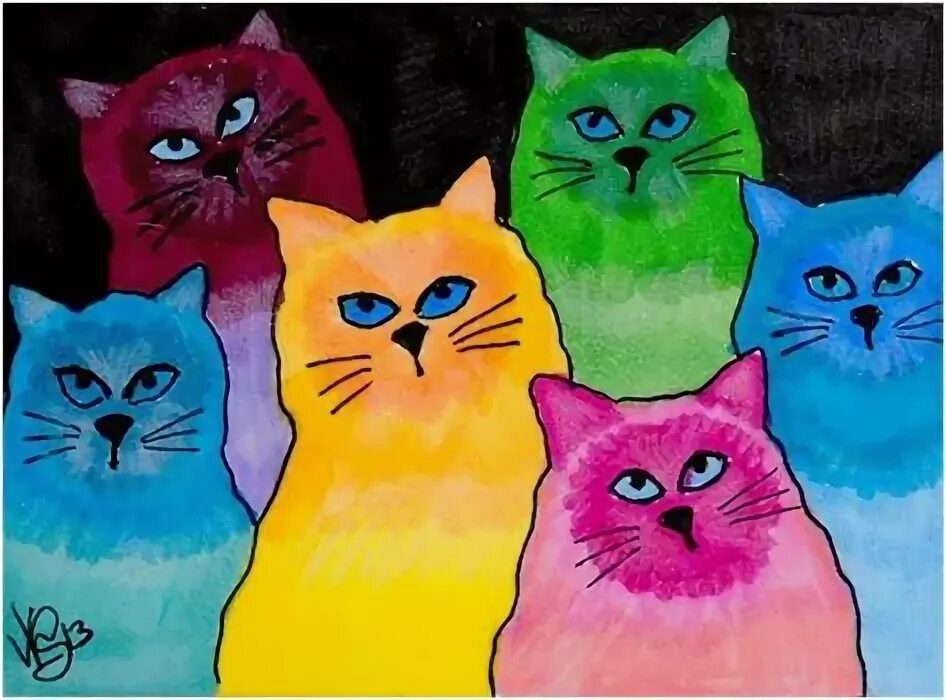 She cat colours