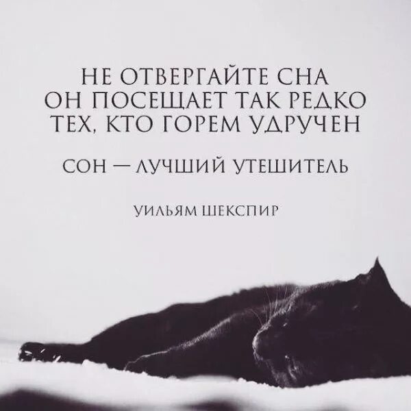 Цитаты спящих. Цитаты про сон. афоризмы про сон. цитаты про сновидения. афоризмы о сновидениях.