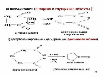 Янтарная кислота свойства