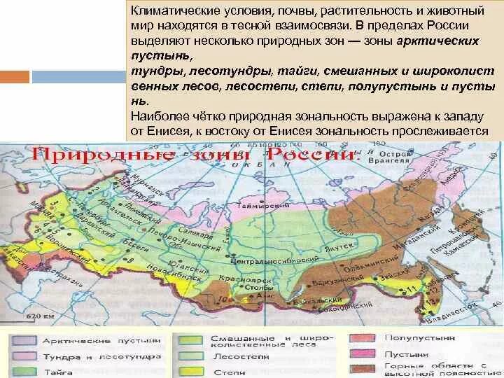 Климатические условия почвы растительность. Тундра на карте природных зон. Карта природных зон России арктические пустыни. Лесотундра на карте России. Зона тундры расположена между зоной и зоной