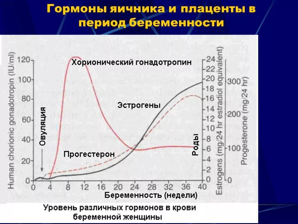 Беременность после гормонального