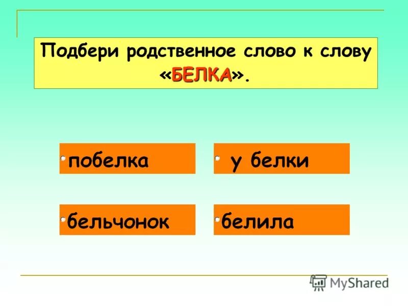 Количество звуков в слове белка. Белка родственные слова. Проверочное слово к слову белка. Белка однокоренные слова.