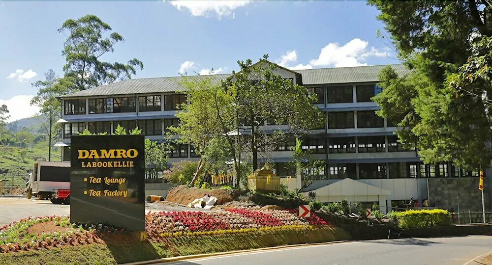 Damro labookellie. Damro labookellie. Damro tea. Damro tea. Damro tea.