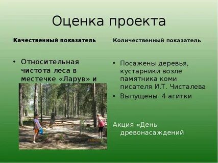 Лес свеж предложение