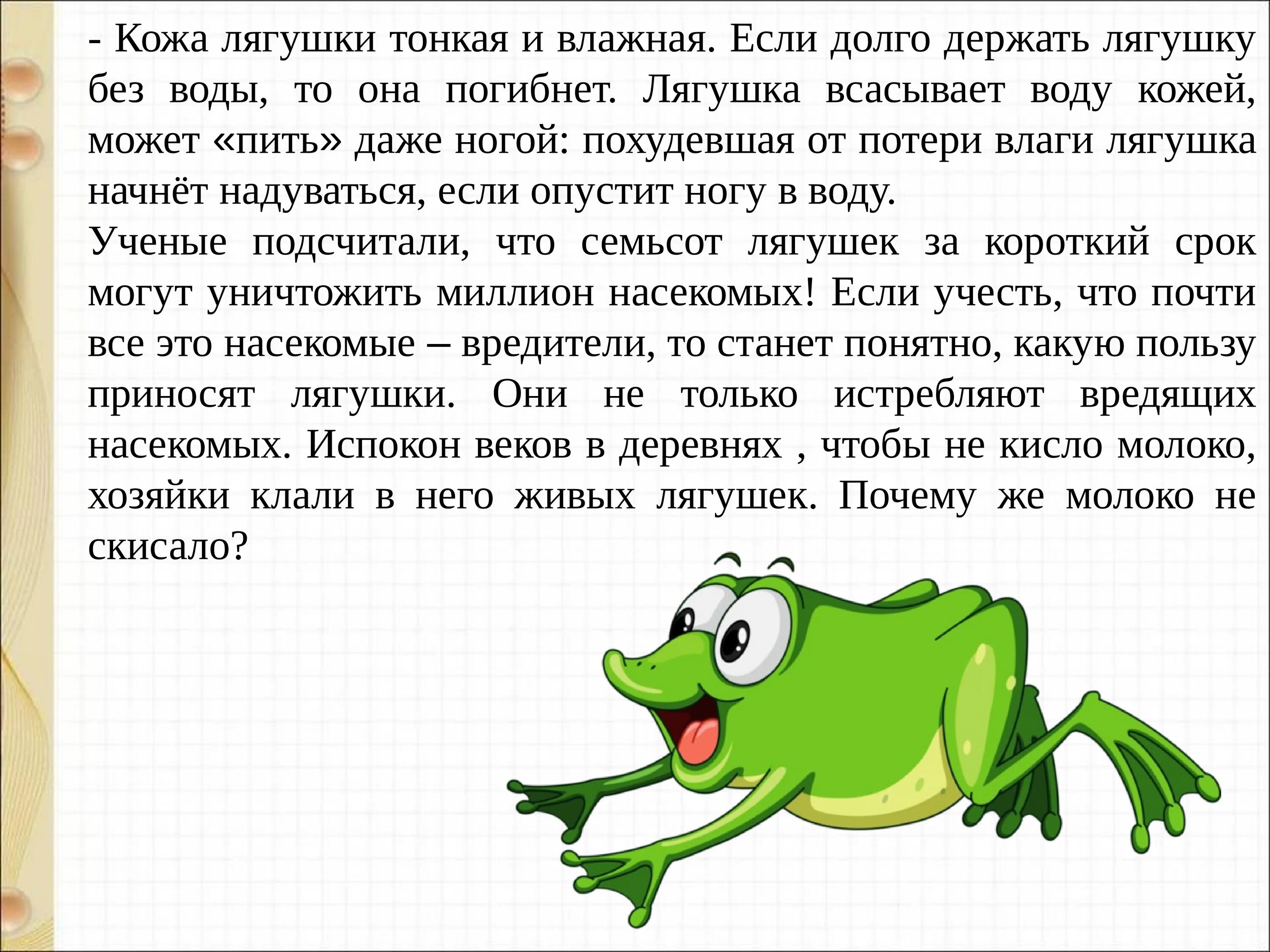 Как разделить слово лягушка. Текст описание про лягушку. Лягушка рассказ для детей. Рассказ о лягушке. Рассказ о лягушках для дошкольников.