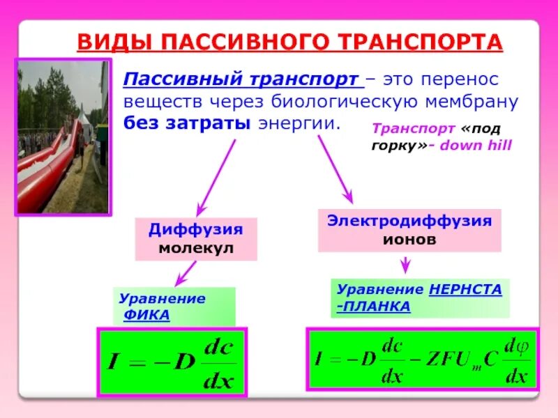 Уравнение пассивного транспорта молекул через мембрану. Пассивный транспорт веществ через мембрану. Уравнение фика.. Пассивный транспорт. Виды пассивного транспорта. Типы пассивных систем