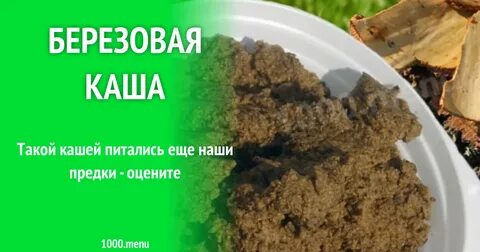 Березовая каша сканворд букв