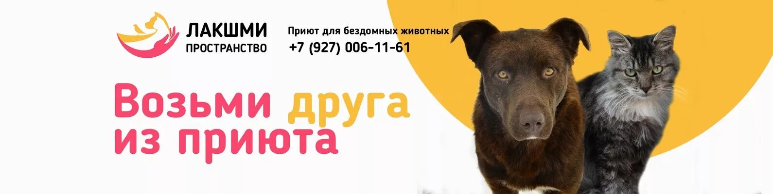 Карта приют для животных. Приют для животных самара. лакшми приют для животных в самаре. приют для животных в самаре. логотип для приюта бездомных животных.