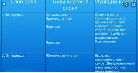Тип клеток таблица