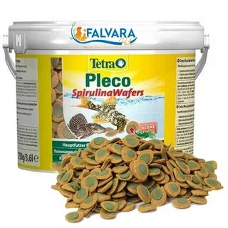 Spirulina wafers