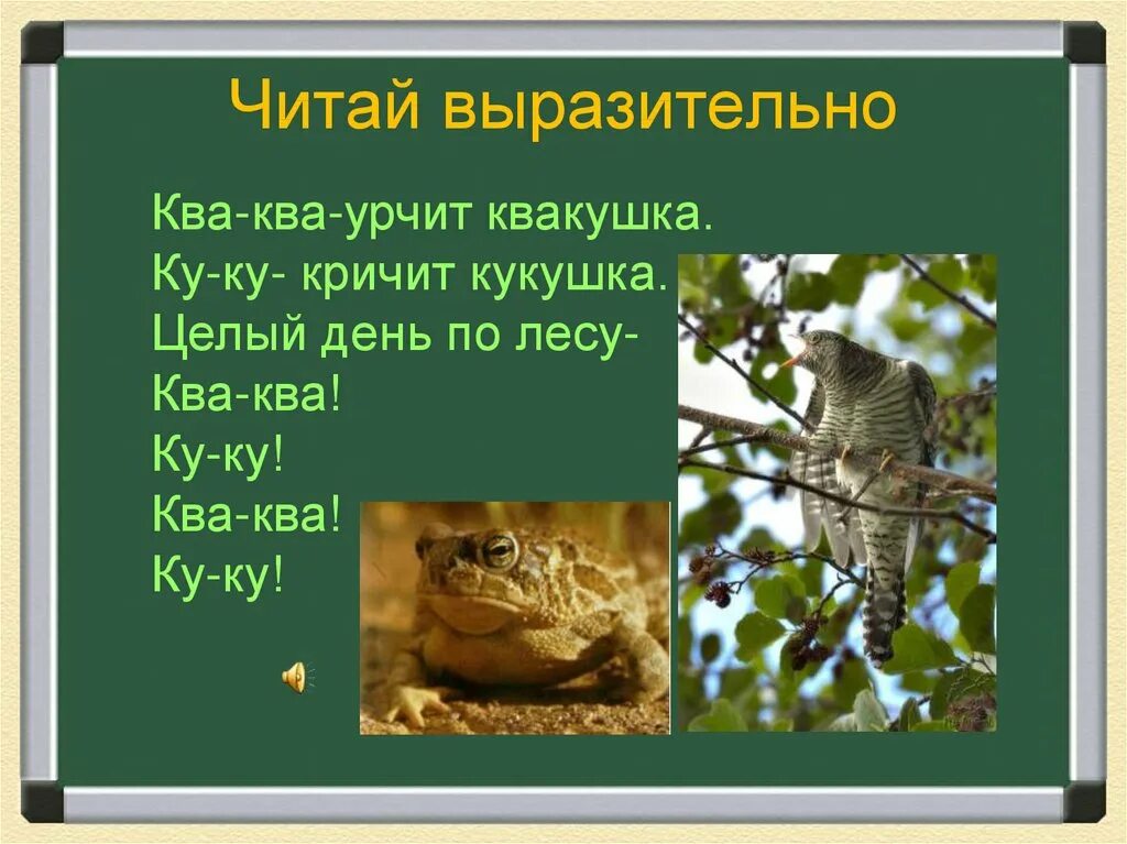 Что такое ква. Что такое ква