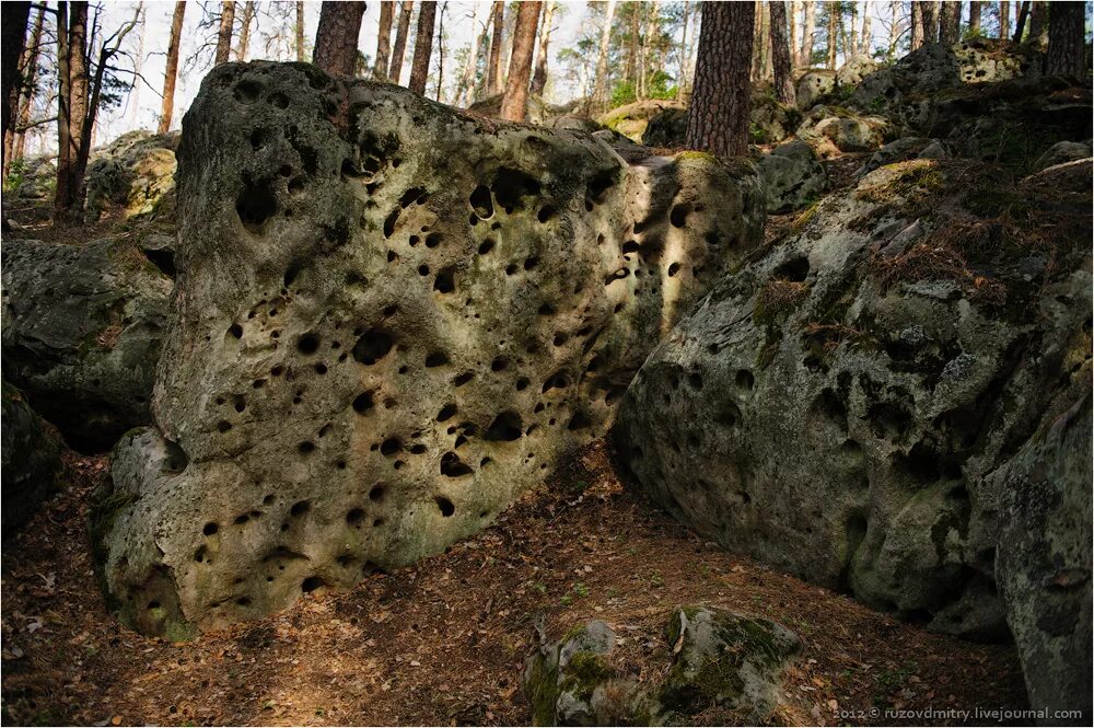 Рачейские скалы Смолькино. Смолькино каменный лес Самарская область. Рачейские скалы Сызрань. Каменный лес Рачейские скалы. Зарастание скалы
