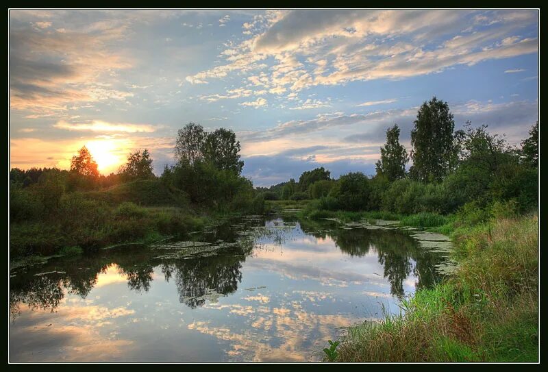 Нерль (приток клязьмы). Река нерль клязьминская. Нерль (приток клязьмы). Река нерль ярославль. Река нерль клязьминская.