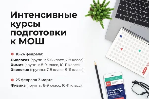 Интенсив курс. Курс или интенсив. Мош этапы.