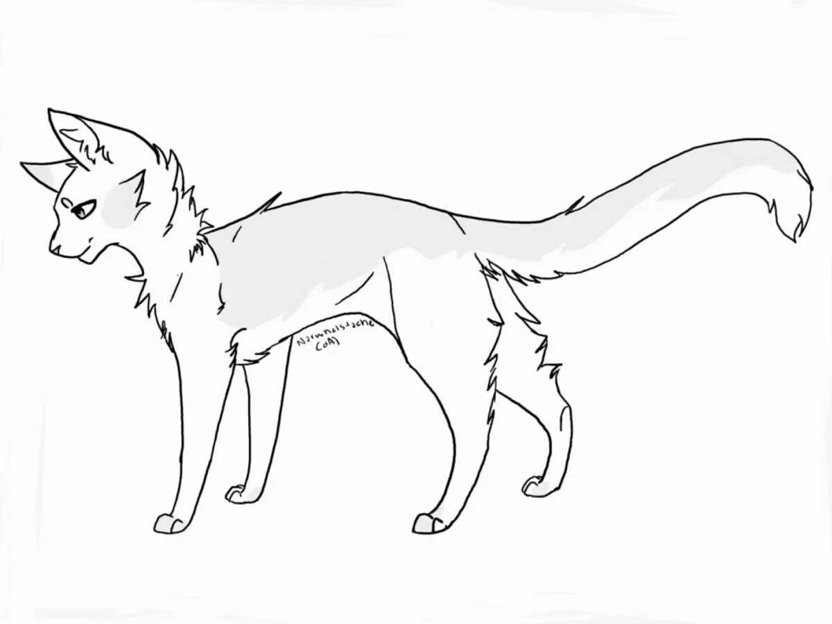 Лайны котов воителей. Коты воители лайны для адоптов. Коты воители лайн кошка. Коты воители лайны в полный рост. Коты воители лайны для персонажа.