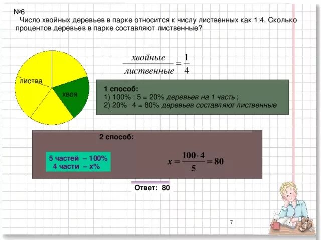 Половина сколько процентов. Число хвойных деревьев в парке относится к числу. Число хвойных деревьев в парке относится к числу лиственных. 1/4 Часть это сколько процентов. Сколько процентов на 4.