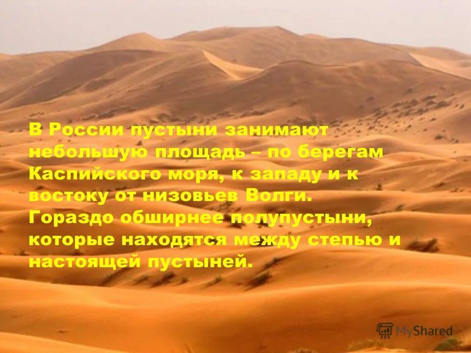 В России пустыни занимают. Стихи про пустыню. Пустыни занимают в России небольшую. Стихотворение о пустынях.