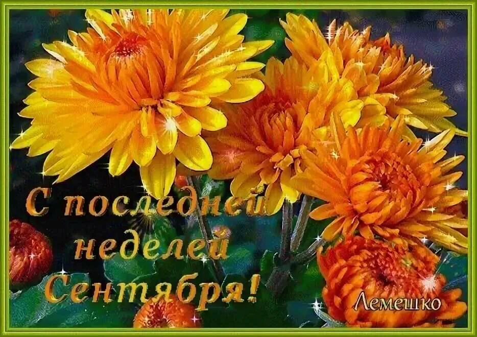 Удачной недели сентября. С последним днем сентября. с последним понедельником сентября. последний денььсентября. с последним днем сентября добрый день.