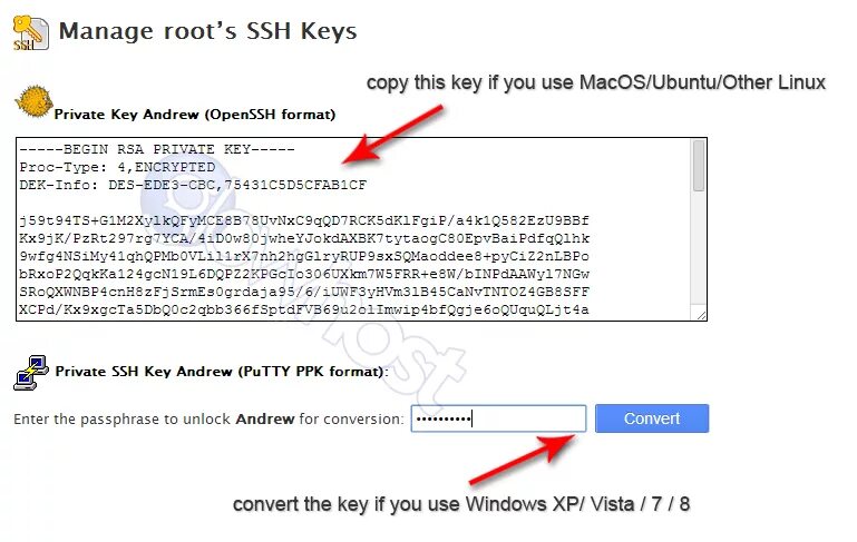 SSH ключ. SSH ключ Формат. Как выглядит SSH Key. OPENSSH Key пример.