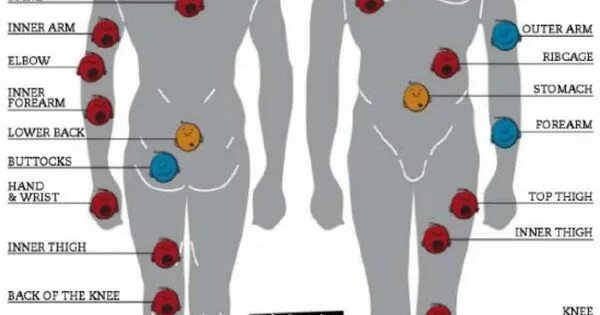 Больные места у человека. Места для тату. Больные места для татуировок. Болевые места татуировок. Самые популярные места для тату.