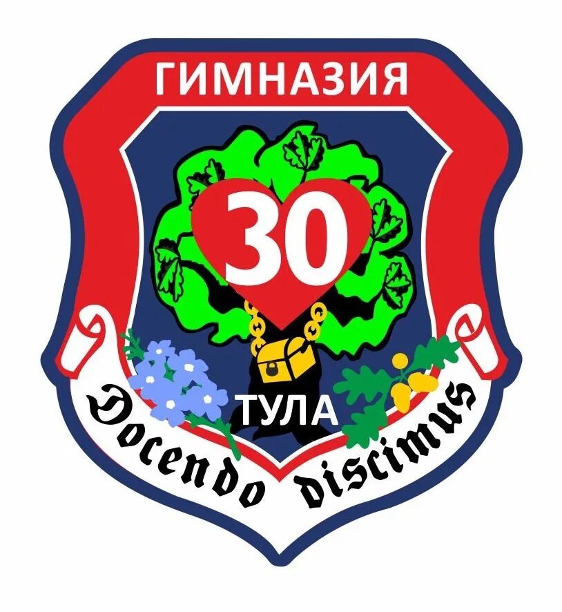 Гимназия №30. Тульская гимназия №30. 30 Школа Тула. Иваново гимназия 30 эмблема. Гимназии тулы сайты