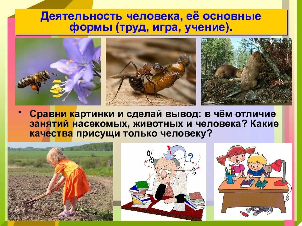 Труд человека и деятельность животных. Деятельность человека. деятельность человека презентация. деятельность человека обществознание презентация. деятельность человека и его основные формы игра труд.
