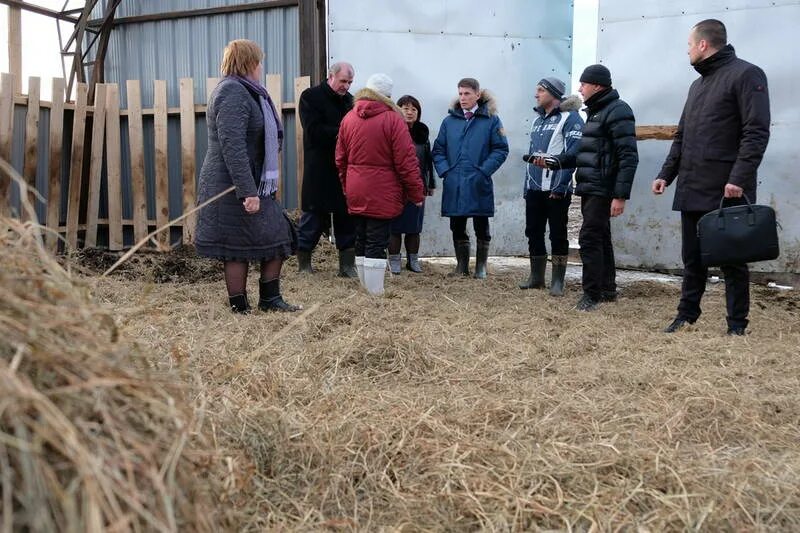 Совхоз южно-сахалинский официальный сайт. Совхоз краснопольский сахалин. Совхоз сахалинский. Коровник с камерой. Ао совхоз корсаковский сахалинская область.