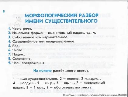 Морфологический разбор существительного четвертый класс