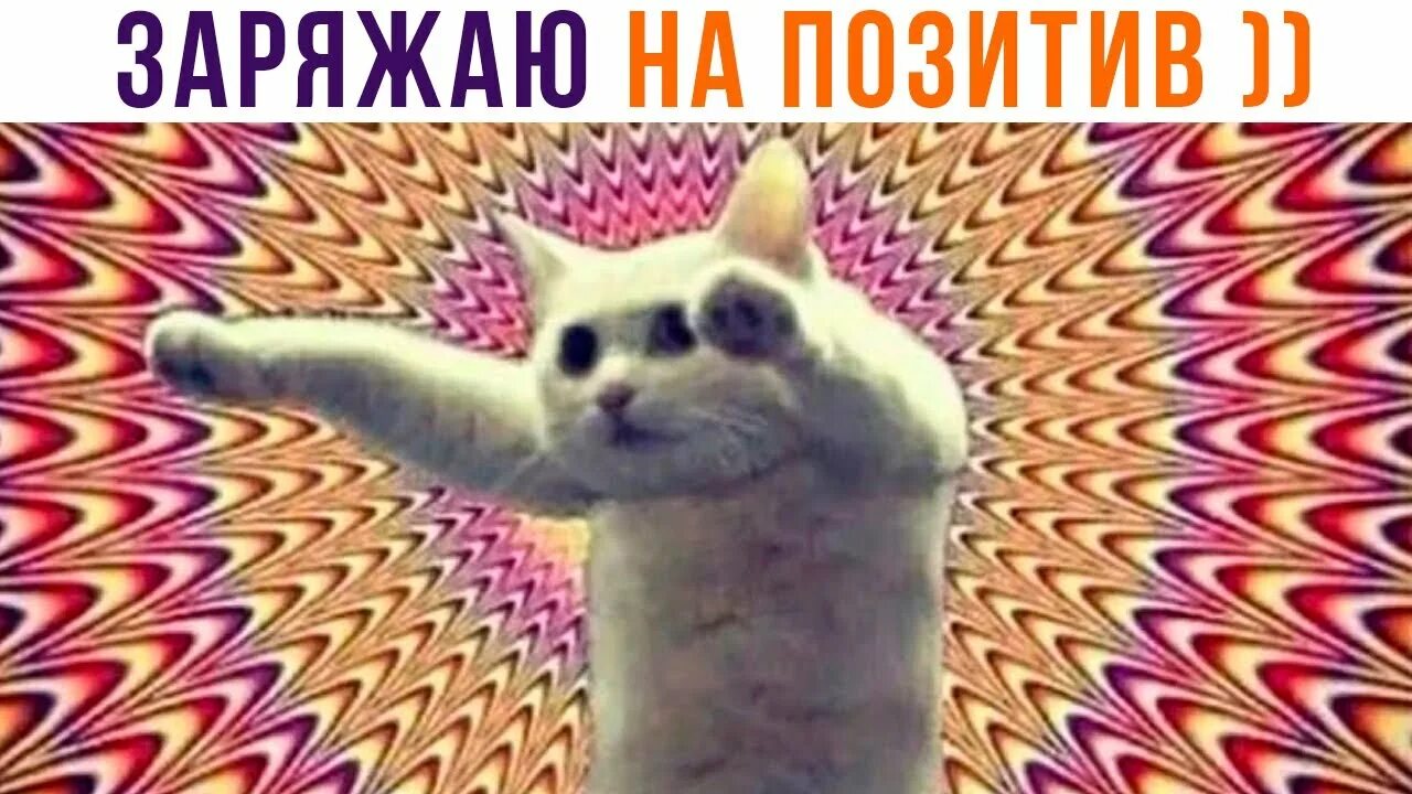 ЖИЗА) Приколы Мемозг #405 - YouTube