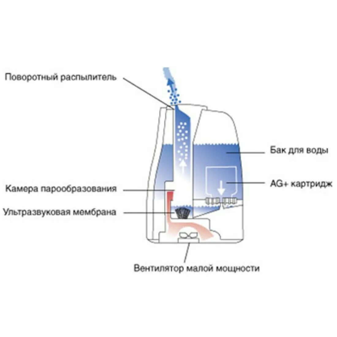 Сколько воды увлажнителя. Схема работы увлажнителя воздуха ультразвукового.