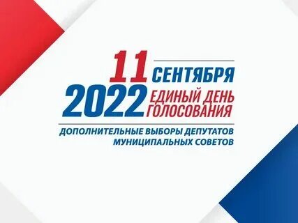 Как прошли выборы депутатов. Как прошли выборы депутатов