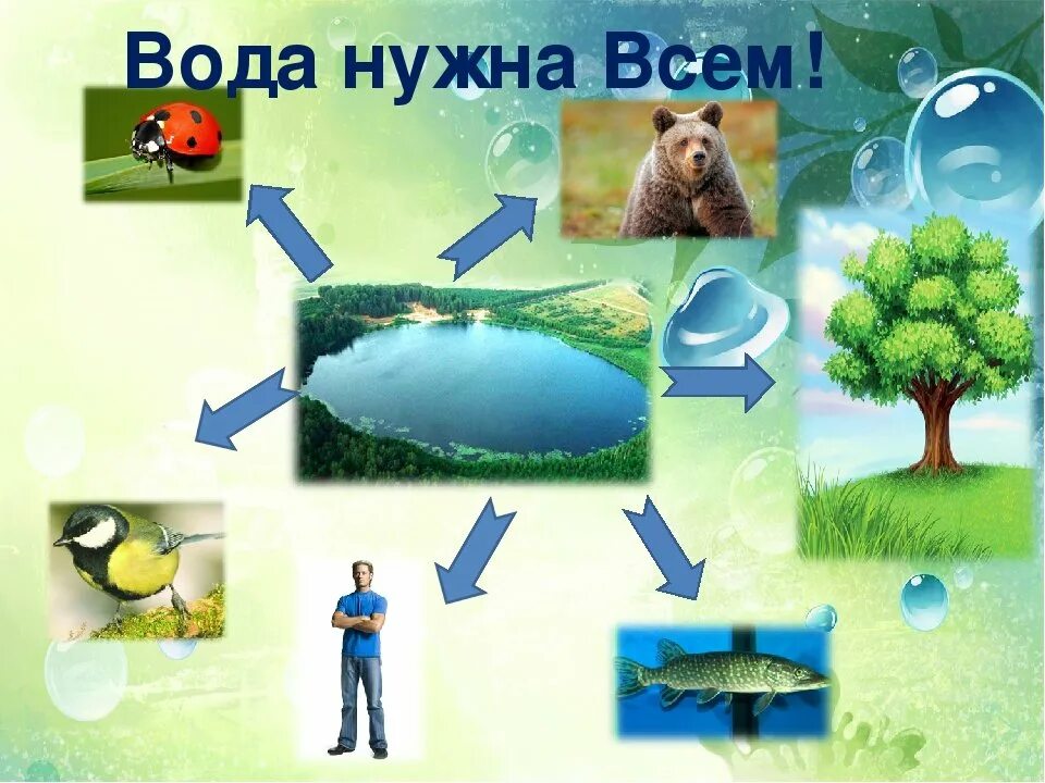 Консументы. Что такое природное сообщество 6 класс. Что такое природное сообщество в биологии. Живые организмы. Живые организмы нуждаются.
