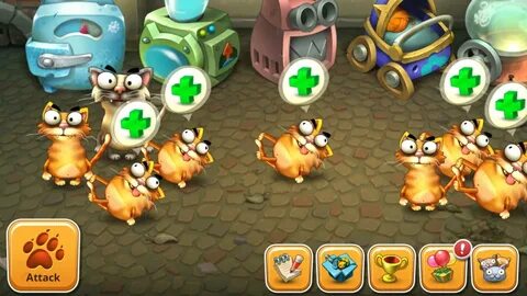 Cats empire