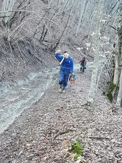 В лесу не ездят