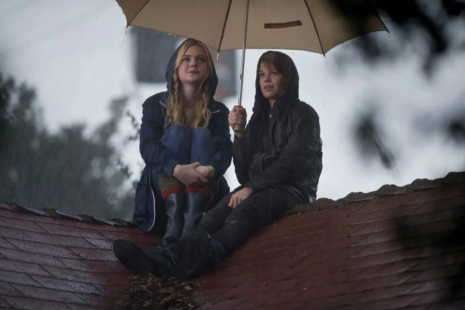 дартмурский зоопарк бенджамин. мы купили зоопарк трейлер. мэгги элизабет джонс. мы купили зоопарк фильм 2011 смотреть. мы купили зоопарк фильм 2011 дилан и лили.