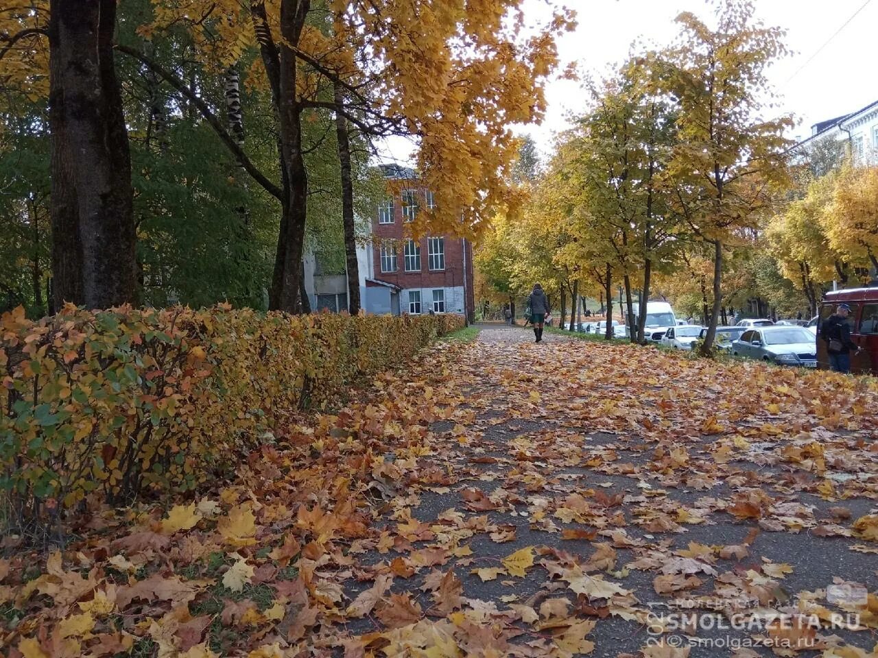 Синоптик смоленское на 10. Смоленск в ноябре. Смоленск в ноябре фото. Пасмурный день в Смоленске. Пасмурная погода в Смоленске.