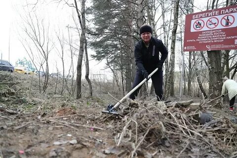Северное города одинцово раскинулся подушкинский лес