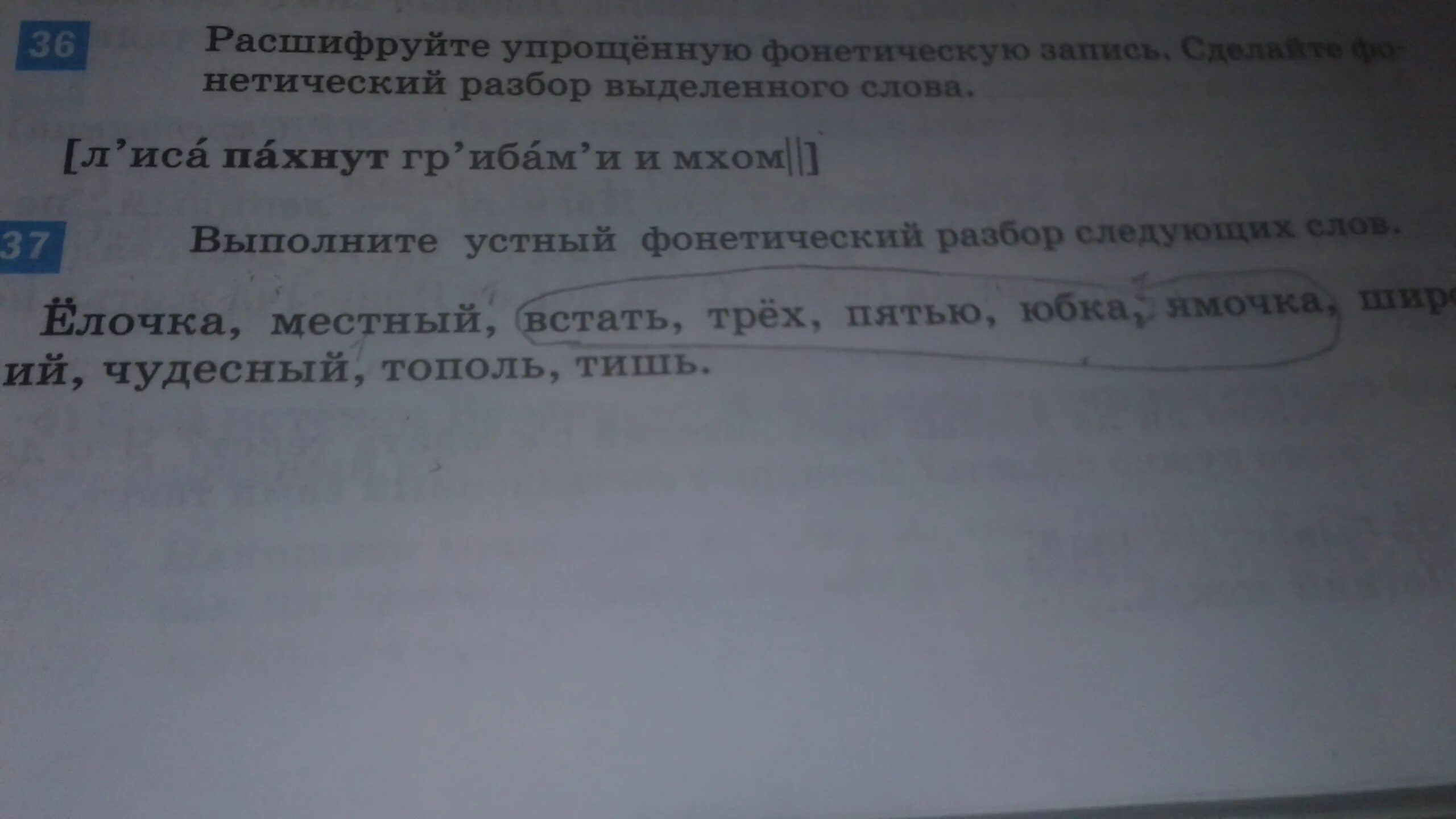 Анализ слова елка. Устный фонетический разбор. Фонетический анализ слова местный. Разбор слова Тополь. Чудесный фонетический разбор.