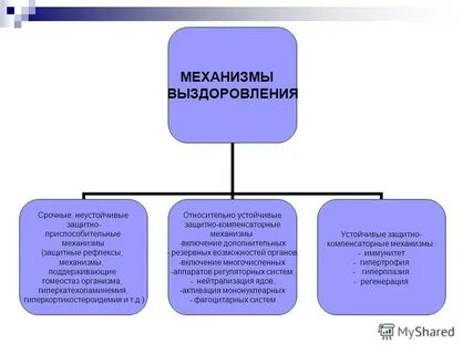 Принципы выздоровления